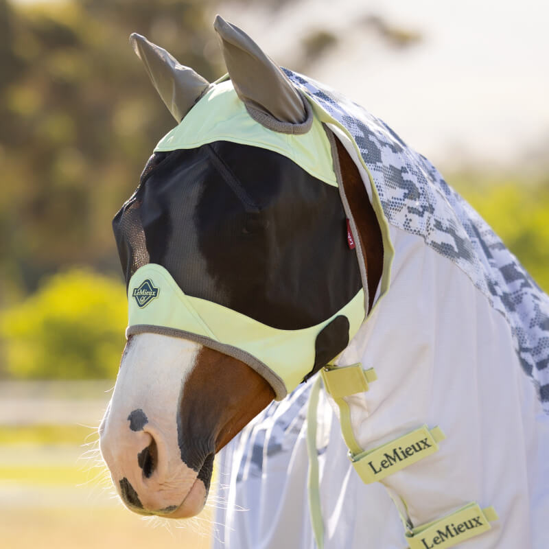 Horse in LeMieux Visor-Tek Half Fly Mask Macaron, outdoors with a blurred background.