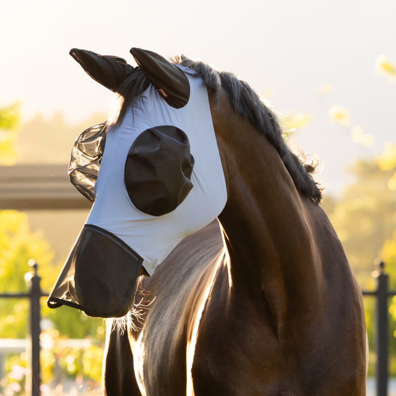 A horse enjoys bug relief outdoors with the LeMieux Bug Relief Full Fly Mask Powder Blue.