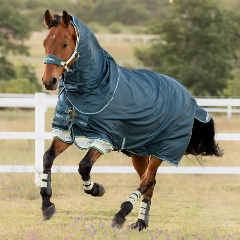 Brown horse in LeMieux Arika Ripstop 50g Turnout Rug Jungle runs through a grassy field.