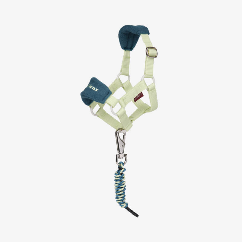 LeMieux Toy Pony Vogue Headcollar &amp; Leadrope Macaron in light green with padded blue detail.