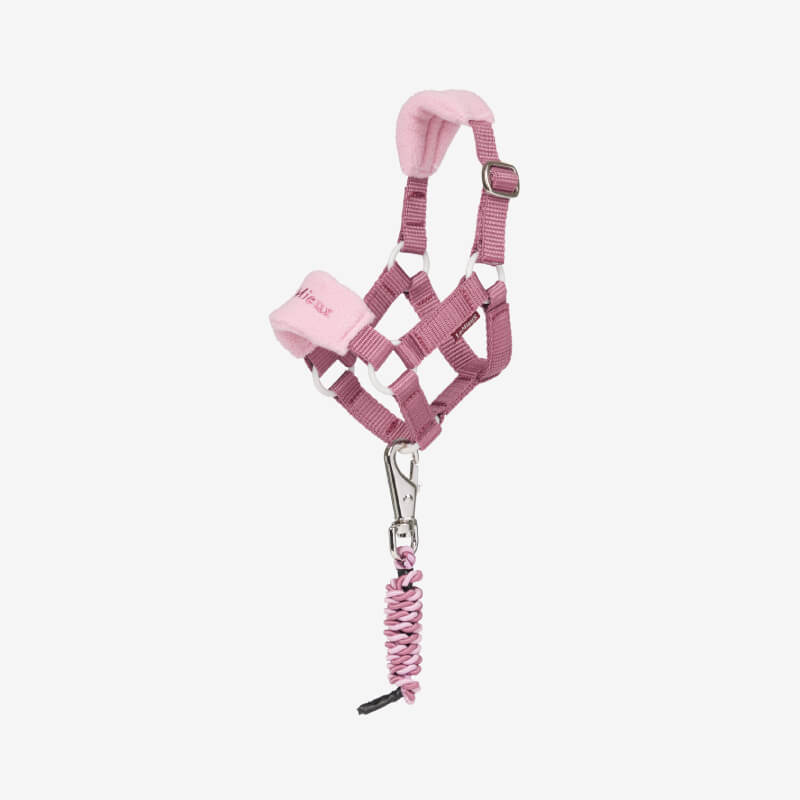 LeMieux Toy Pony Vogue Headcollar & Leadrope Mallow set by LeMieux, pink with silver clip.