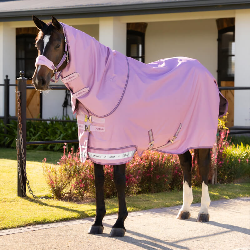 A horse in a LeMieux Arika Ripstop 50g Turnout Rug Fondant stands on a path by a house.