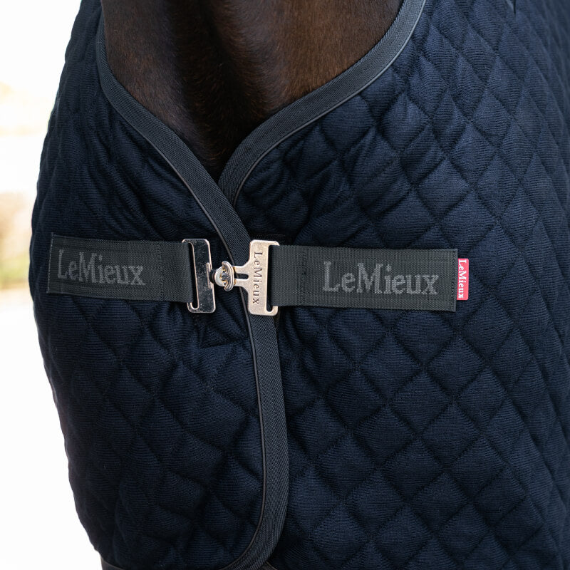 Close-up of LeMieux Arika Clima-Tek Rug Navy with branded clasps on horse's chest.