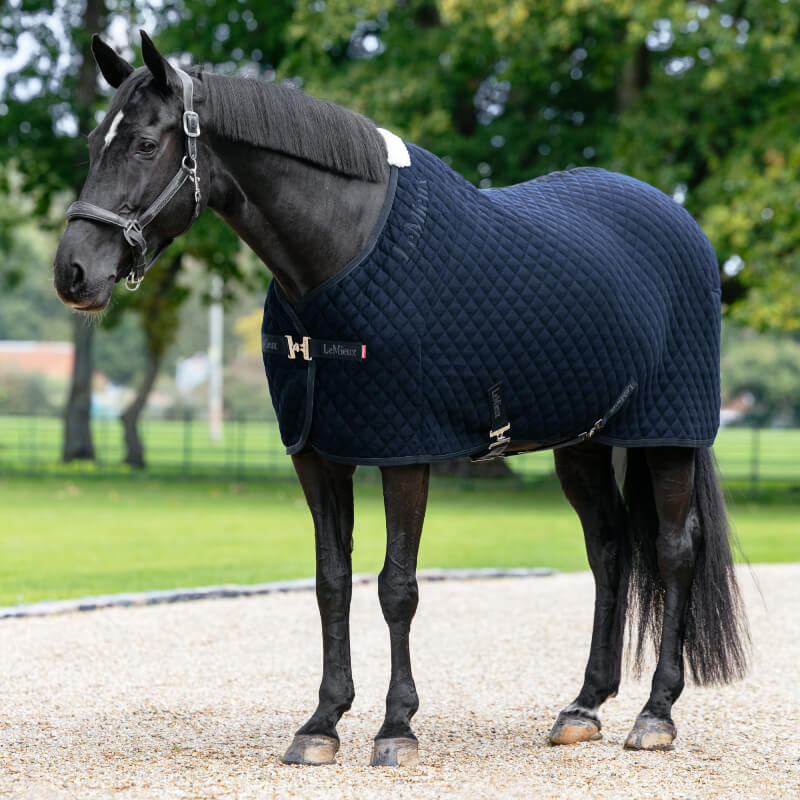 A black horse wears the LeMieux Arika Clima-Tek Rug Navy on a gravel path with trees behind.