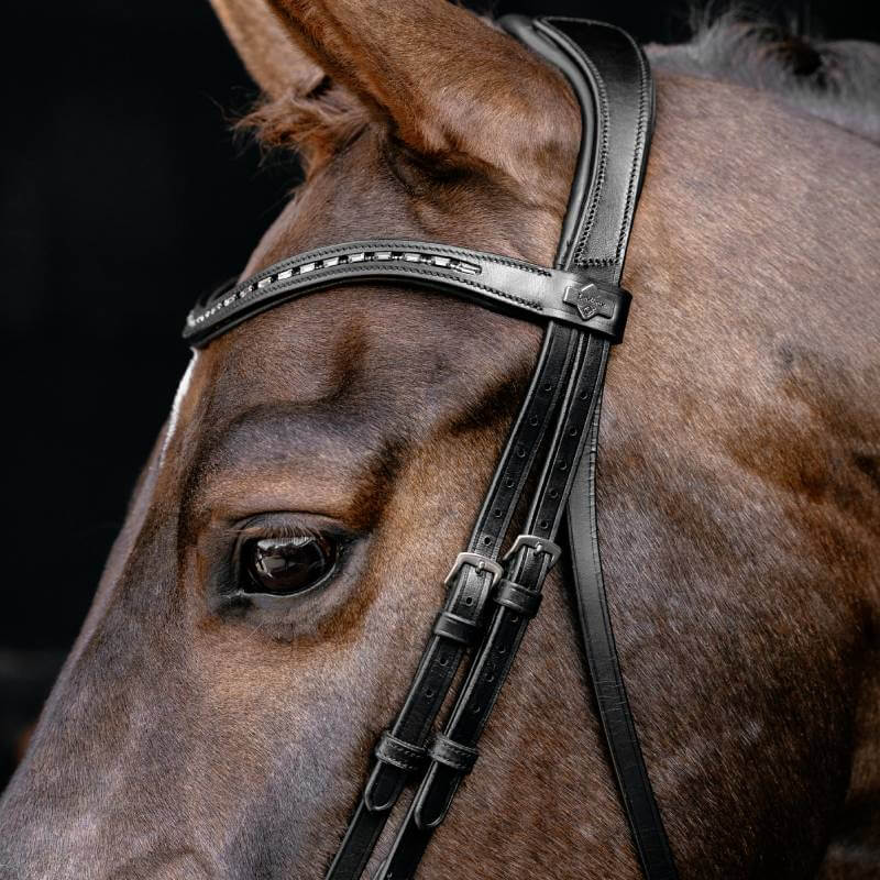 Close-up of a horse wearing the LeMieux Arika Anatomic Dressage Bridle Black/Silver.