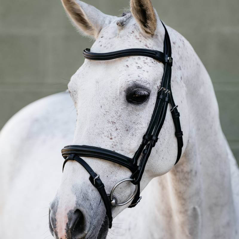 LeMieux Arika Flash Bridle Black/Silver shown against a white background.