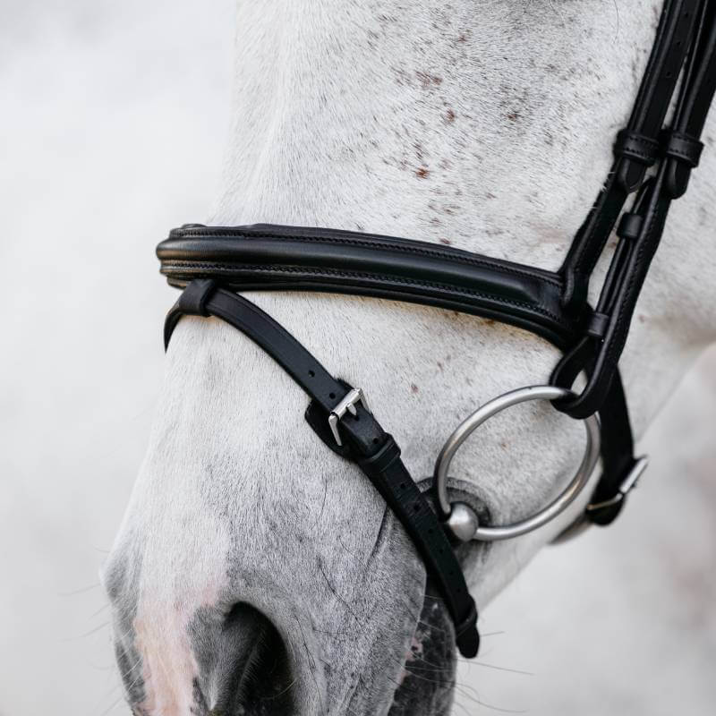 Close-up of a horse in a LeMieux Arika Flash Bridle Black/Silver by LeMieux.