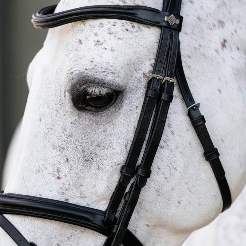Close-up of a white horse’s face in the LeMieux Arika Flash Bridle Black/Silver.
