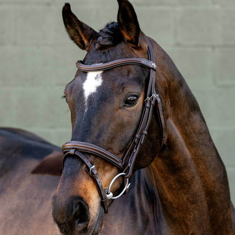 LeMieux Arika Flash Bridle in brown leather with silver buckles on a white background.