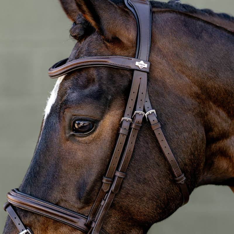 Close-up of a brown horse in a LeMieux Arika Flash Bridle Brown/Silver against plain background.