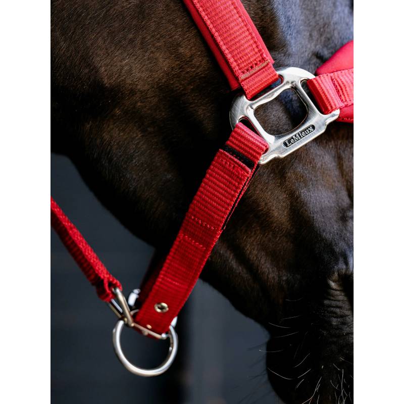 Close-up of a horse in a LeMieux Breakaway Vogue Headcollar Chilli against a dark background.