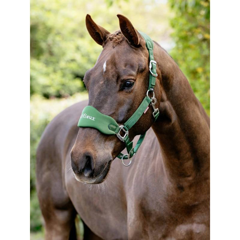 Brown horse wears the LeMieux Breakaway Vogue Headcollar in Hunter Green outdoors with greenery.