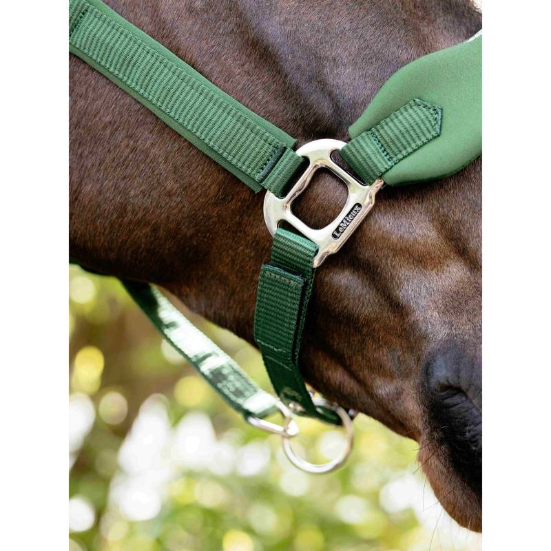 Close-up of a horse wearing the LeMieux Breakaway Vogue Headcollar in Hunter Green.