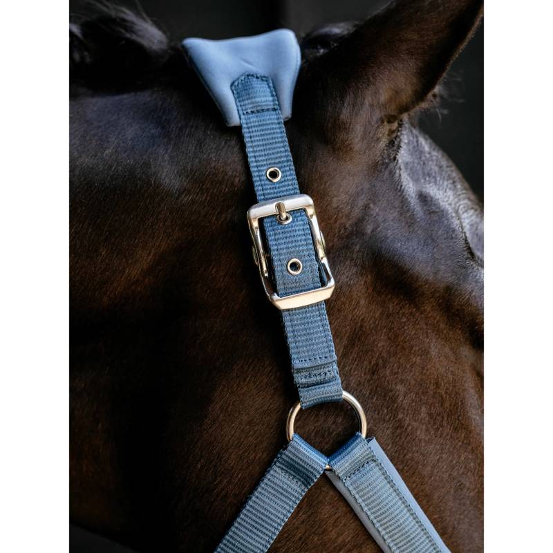 Close-up of a horse in the LeMieux Breakaway Vogue Headcollar Ice Blue with metal fittings.