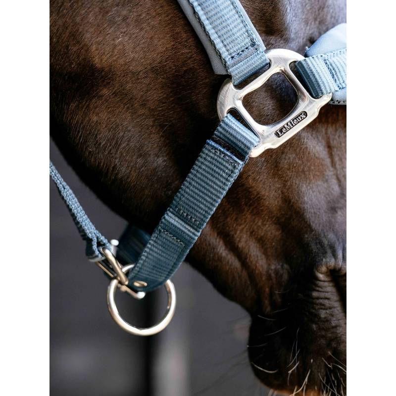 Close-up of a horse in a LeMieux Breakaway Vogue Headcollar Ice Blue with silver fittings.