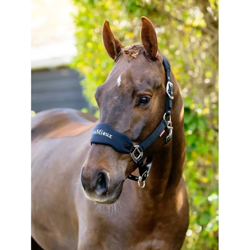 A brown horse wears a LeMieux Breakaway Vogue Headcollar Black near green foliage.