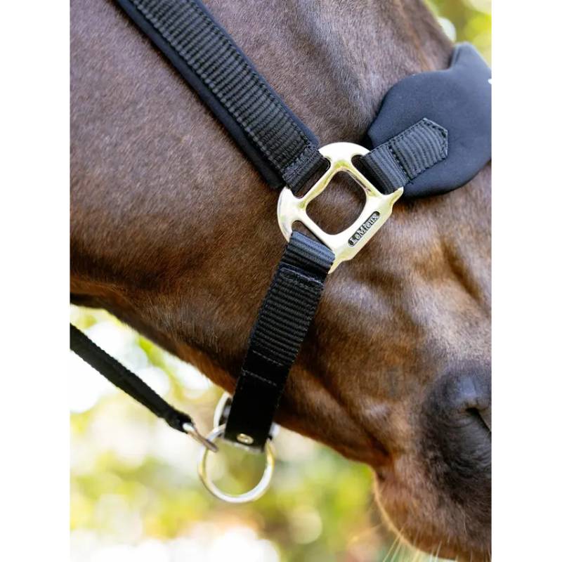Close-up of a horse wearing the LeMieux Breakaway Vogue Headcollar Black with metal hardware.