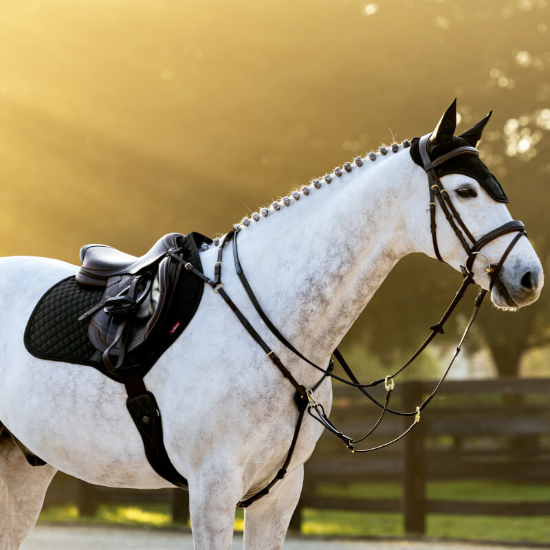 White horse with braided mane stands outdoors in LeMieux Brilliance Close Contact Square Black.