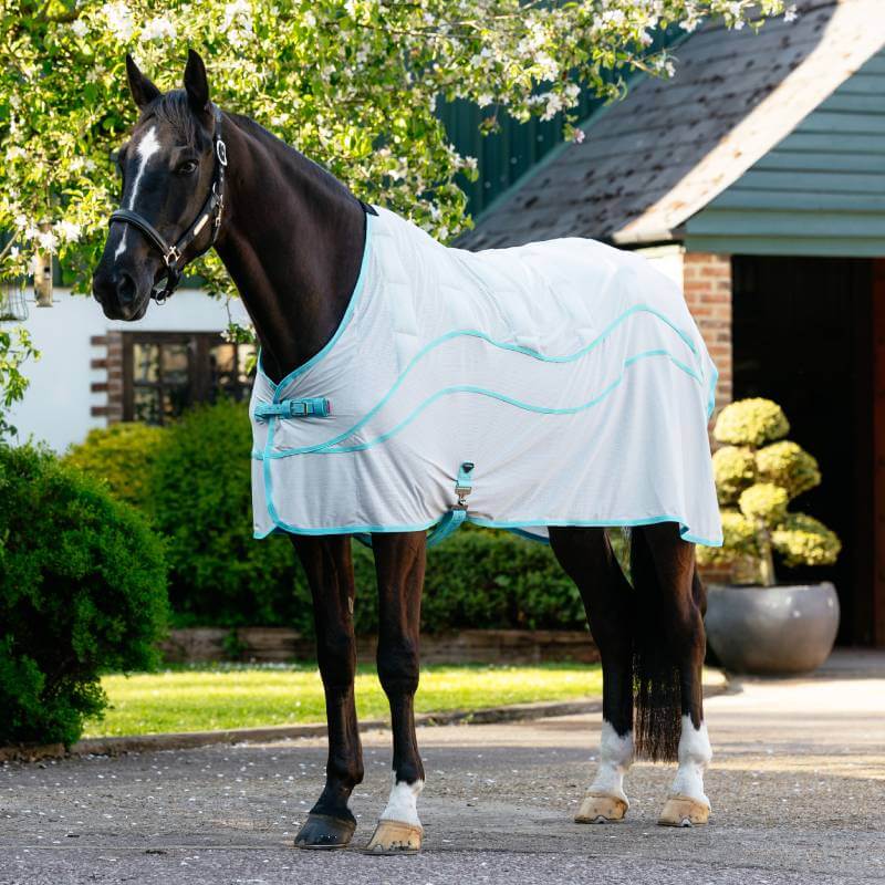 A black horse in a LeMieux Crystal Cooler Grey rug stands outdoors near a house and greenery.