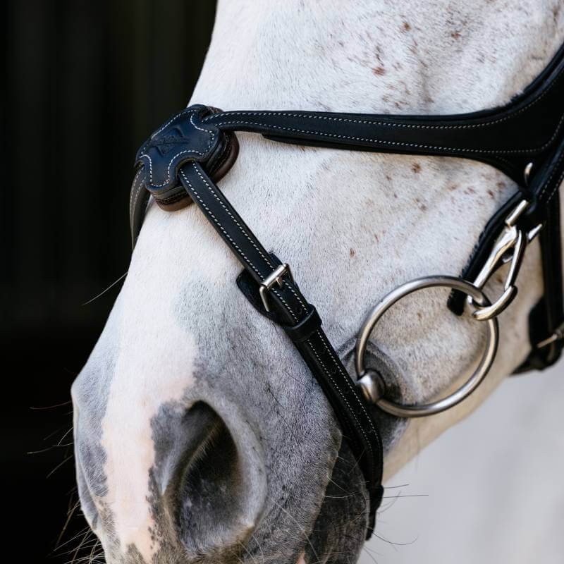 Close-up of a white horse’s nose in the LeMieux Kudos Grackle Work Bridle Black.