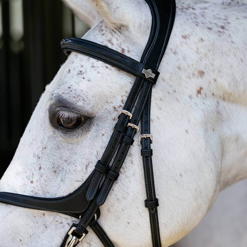Close-up of a horse's head in the LeMieux Kudos Grackle Work Bridle Black with silver buckles.