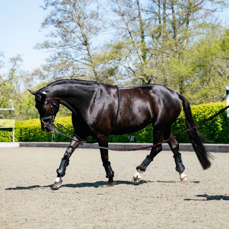 A black horse is being lunged outdoors using the LeMieux Rope Lunging Aid Black.