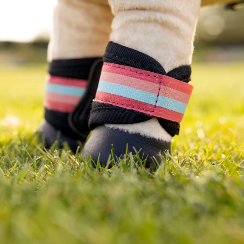 LeMieux Harlow Toy Pony Grafter Boots Coral Crush on a dog's legs, on lush green grass.