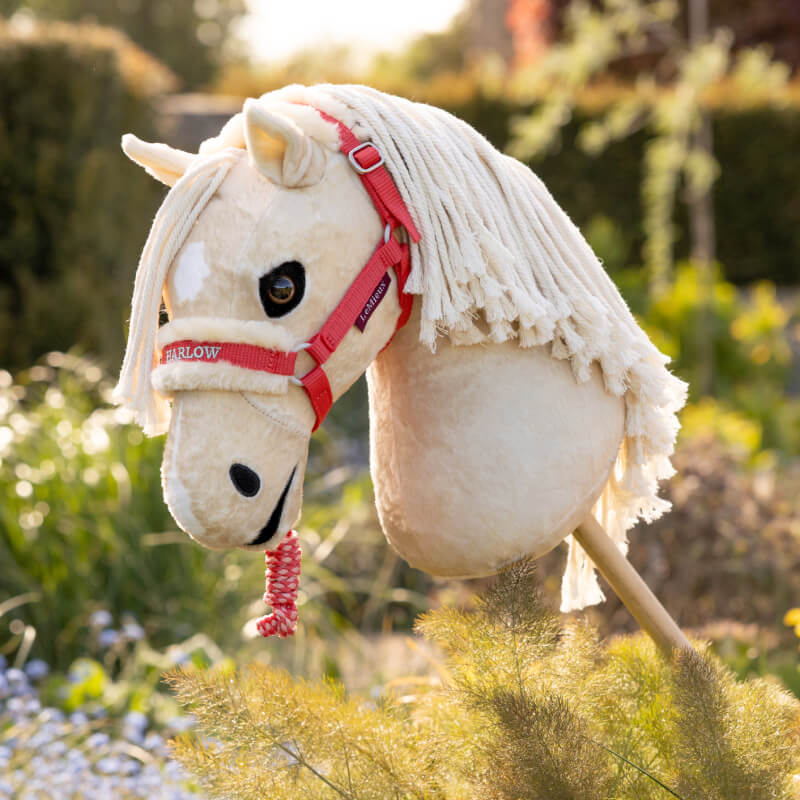 A cream hobby horse wears a LeMieux Harlow Coral Crush headcollar outdoors in the sun.