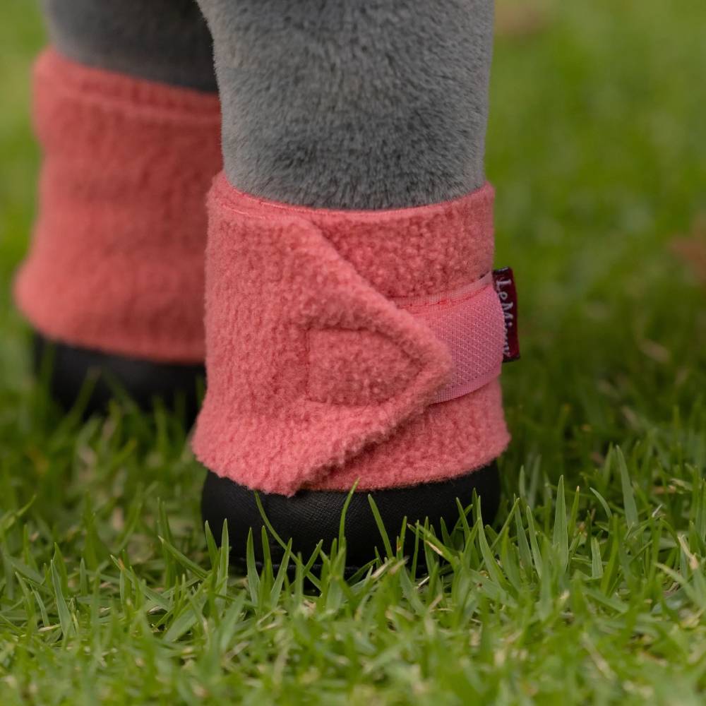 LeMieux Toy Pony Bandages Spiced Earth