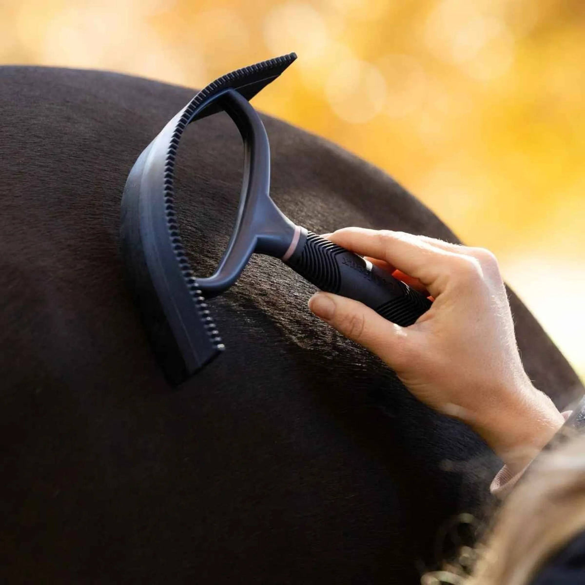 LeMieux Sweat Scraper Navy