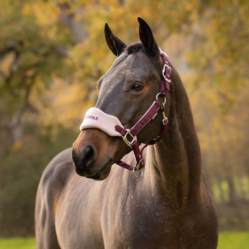 LeMieux Vogue Headcollar &amp; Leadrope Blackberry