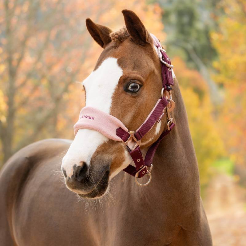 LeMieux Vogue Headcollar &amp; Leadrope Blackberry