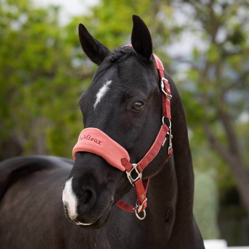 LeMieux Vogue Headcollar & Leadrope Russet