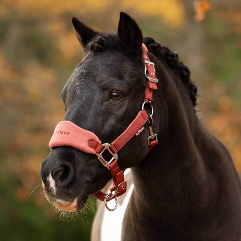 LeMieux Vogue Headcollar & Leadrope Russet