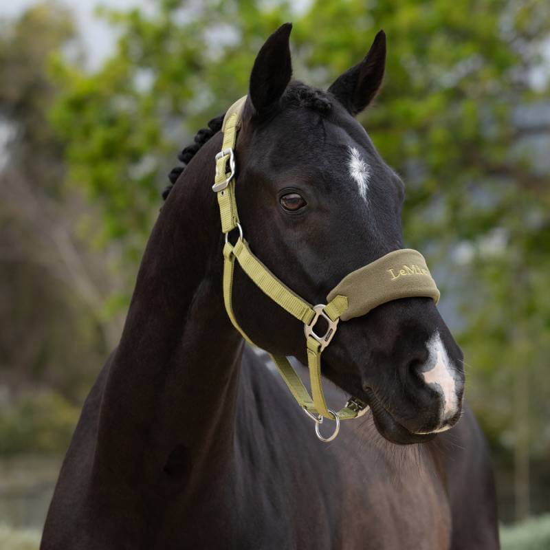 LeMieux Vogue Headcollar & Leadrope Gooseberry