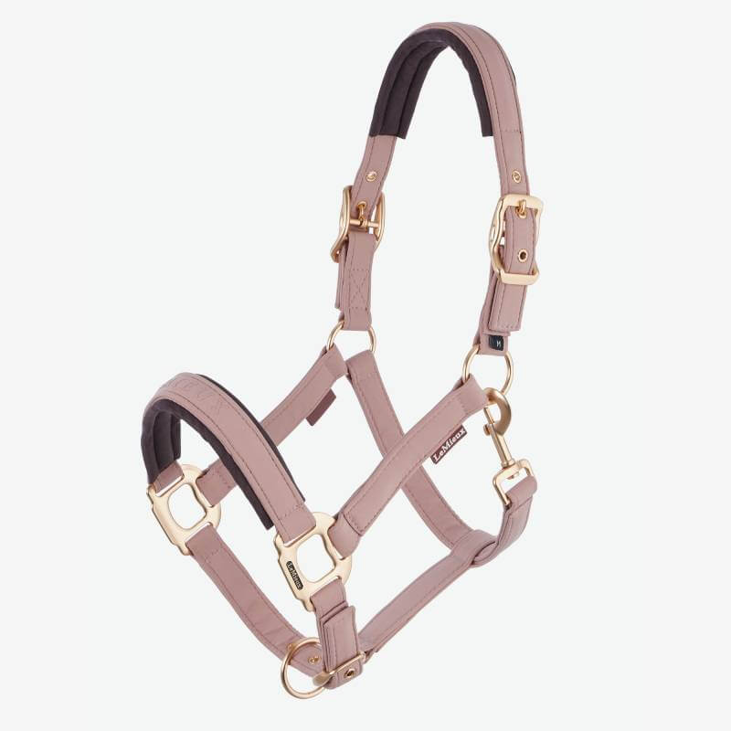 LeMieux Essence Headcollar Wild Rose, pink with gold buckles and padded lining, on white.