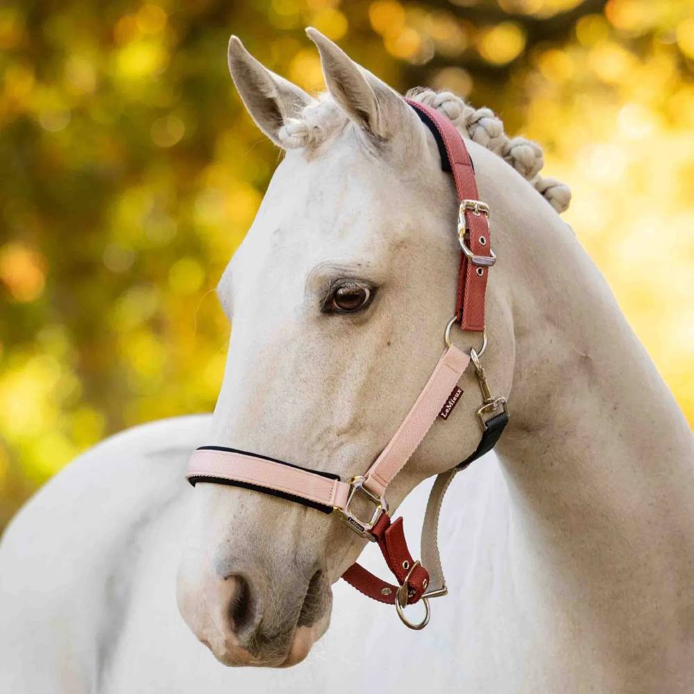 LeMieux Medley Headcollar Spiced Earth/Petal/Aloe