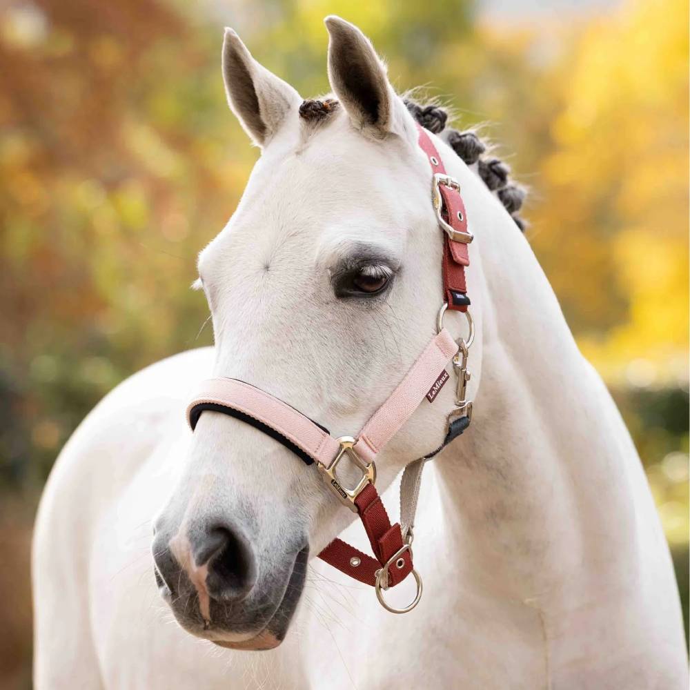 LeMieux Medley Headcollar Spiced Earth/Petal/Aloe