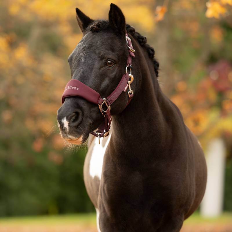 LeMieux Breakaway Vogue Headcollar & Leadrope Bramble