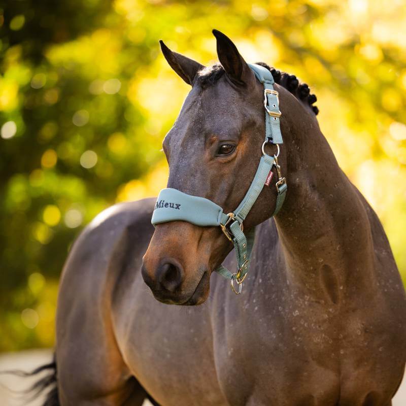 LeMieux Breakaway Vogue Headcollar & Leadrope Aloe