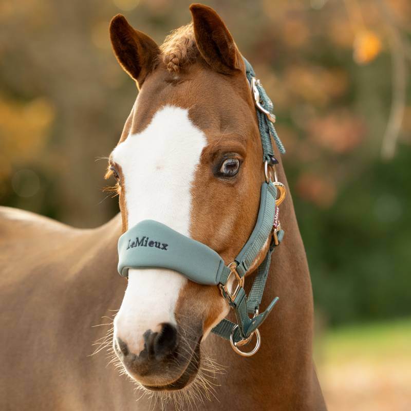 LeMieux Breakaway Vogue Headcollar &amp; Leadrope Aloe
