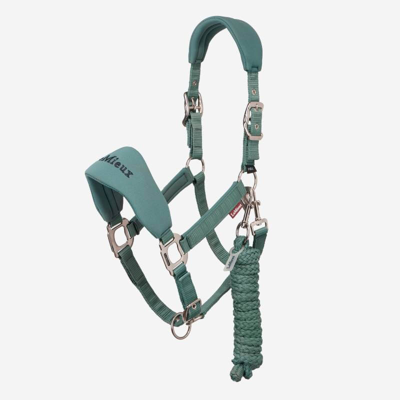LeMieux Breakaway Vogue Headcollar &amp; Leadrope Aloe