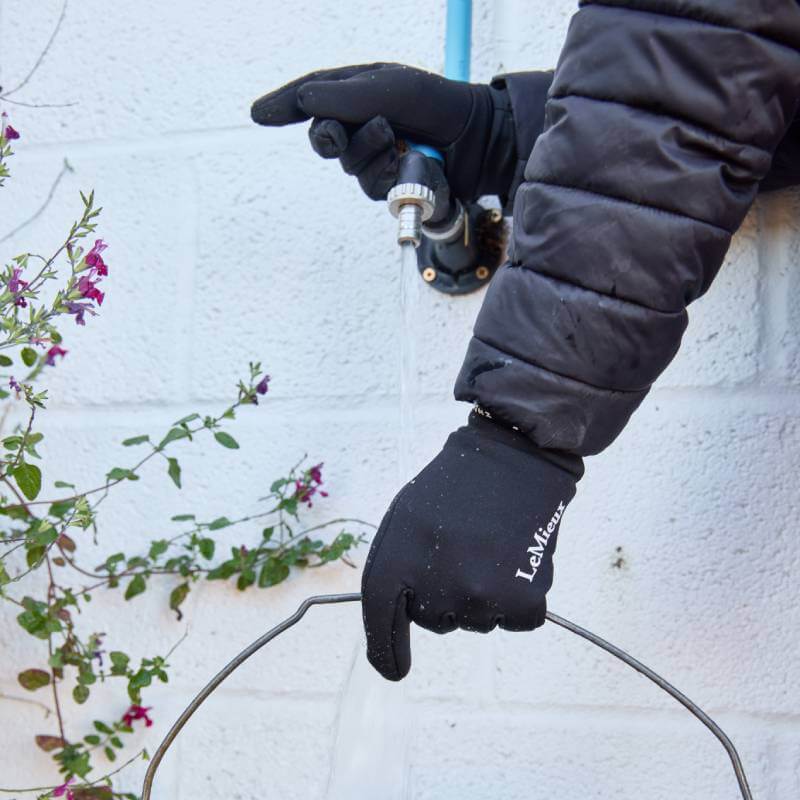 LeMieux x Sealskinz Lightweight Waterproof Glove Black