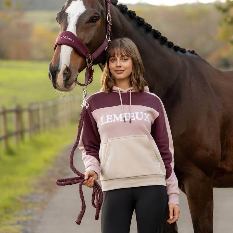 LeMieux Kadie Colour Block Hoodie Wild Rose