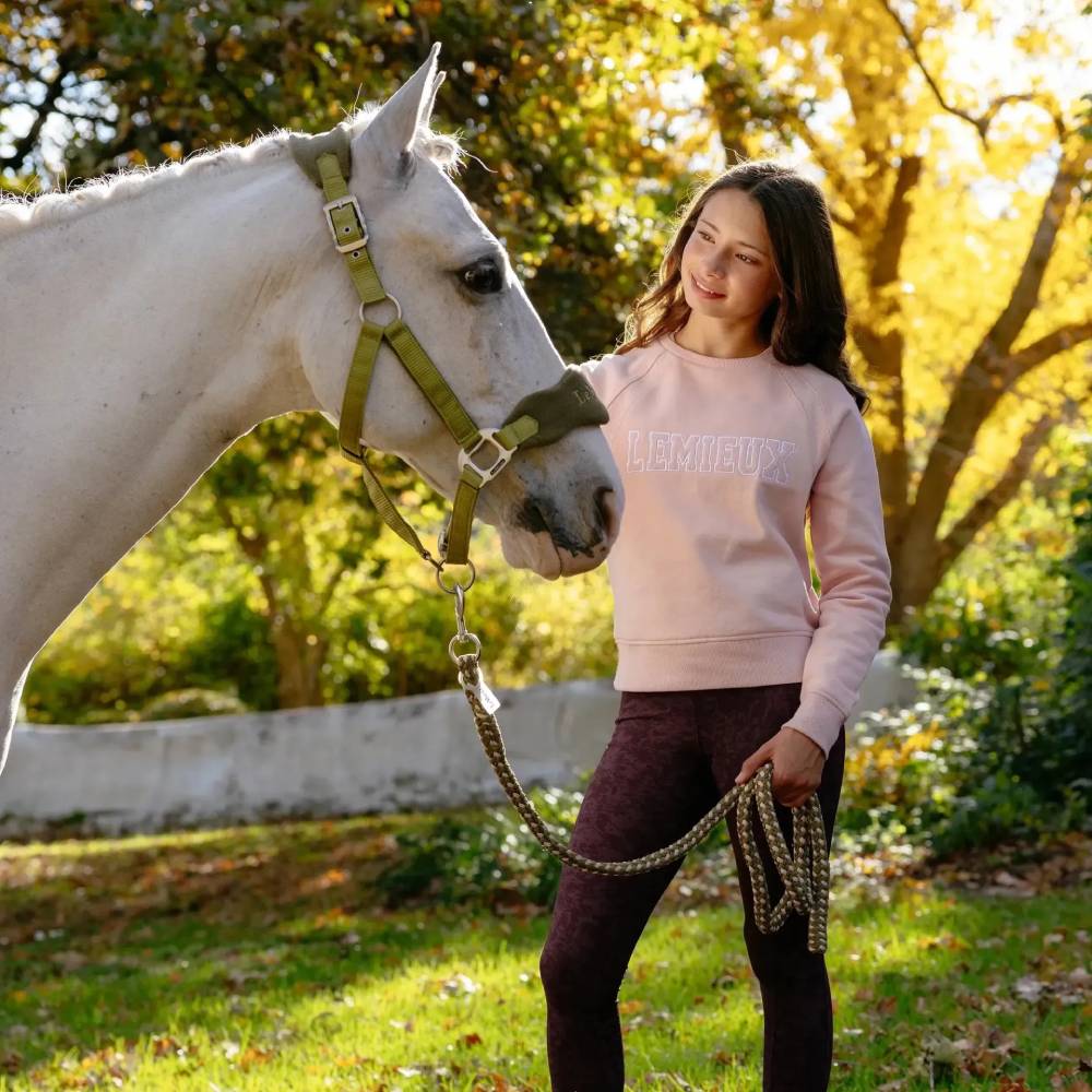 LeMieux Young Rider Shay Varsity Crew Neck Sweatshirt Petal