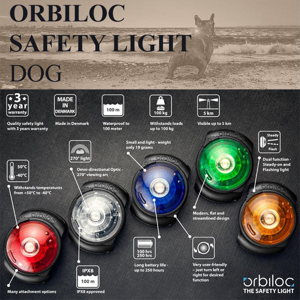 Five Orbiloc Dog Dual Safety Lights with icons and a dog in the background.