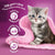 Whiskas 2-12mths Kitten Complete Dry with Chicken 1.9kg-Pet n Pony-Whiskas