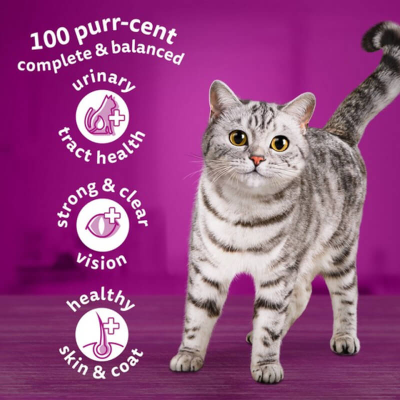 Whiskas 1+ Cat Complete Dry with Chicken 1.9kg