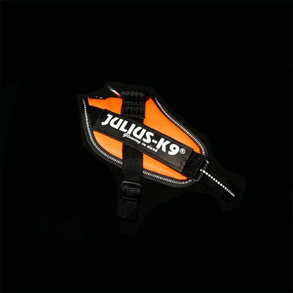 Julius-K9 Idc Powerharness-Pet n Pony-Julius K9