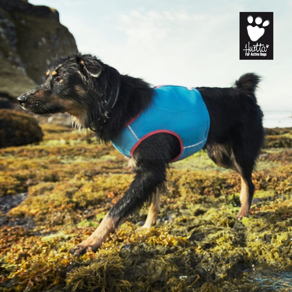 A black dog in a Hurtta Motivational Cooling Vest walks on moss near a rocky shoreline.